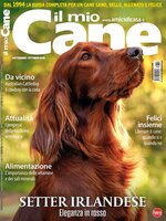 Il mio Cane